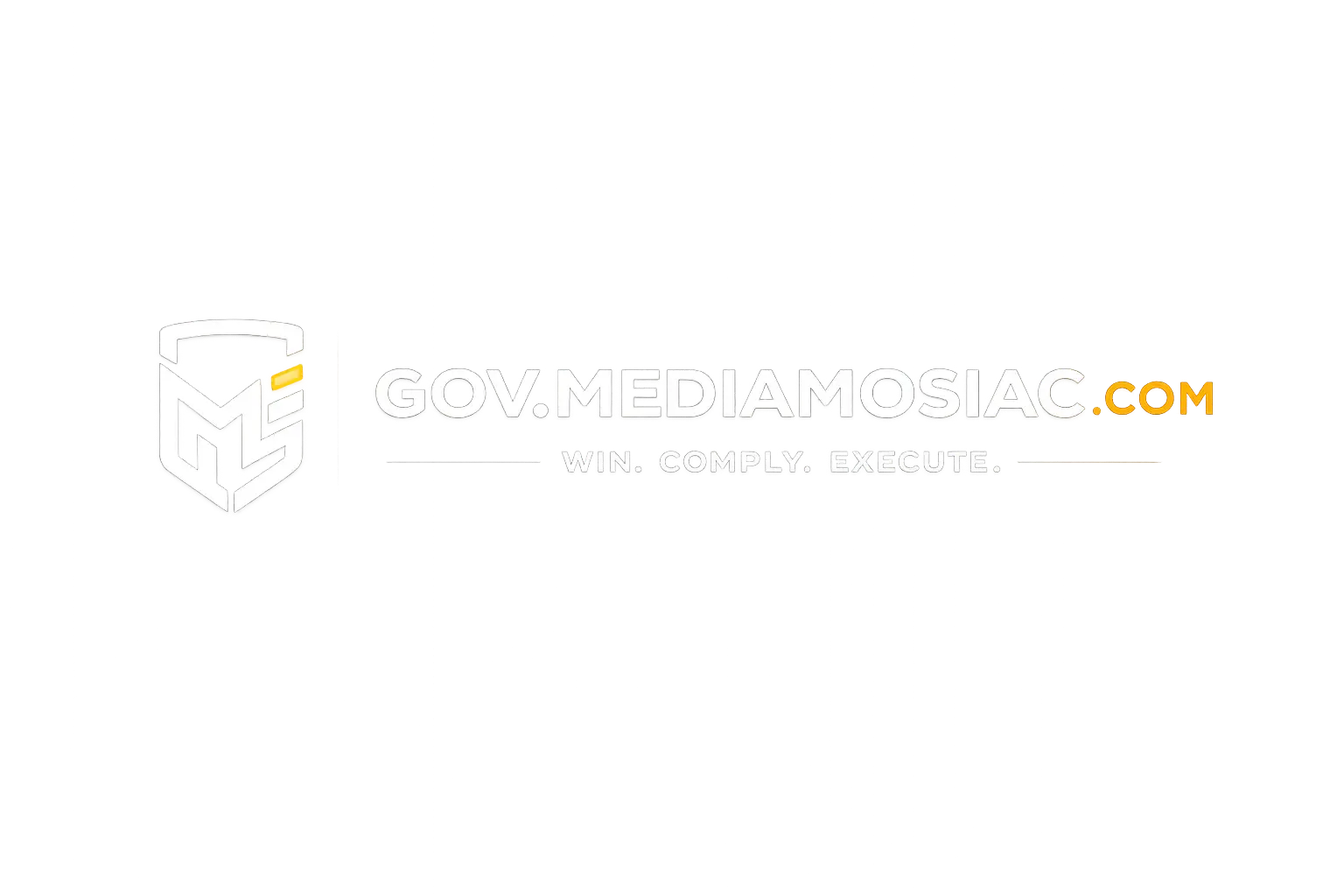 Media Mosiac Gov Solutions